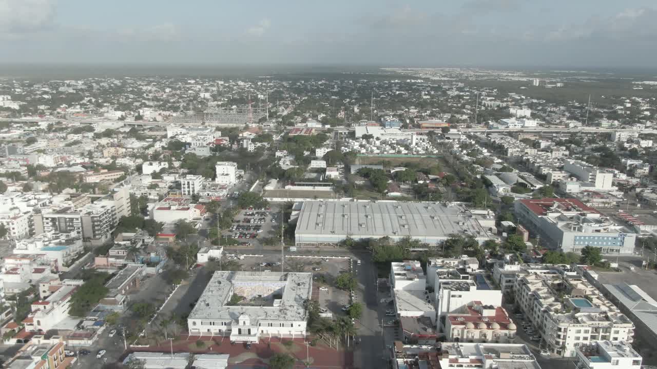 algas sargassum en la playa de playa del carmen quintana roo mexico 26