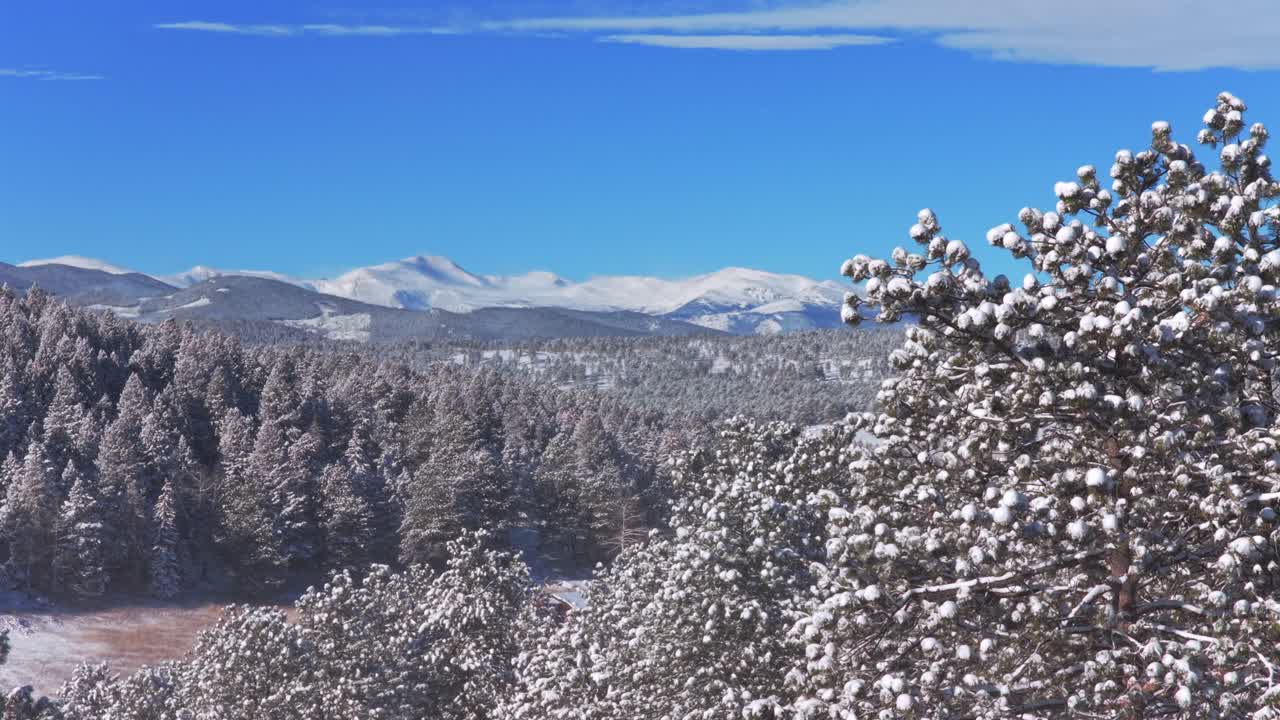Inverno, Monte Blue Sky, Monte Evans, Front Range delle Montagne Rocciose. Veduta aerea con drone del Colorado al mattino, con neve alta, cielo blu soleggiato e vento. Vette innevate prominenti e foreste di conifere sempreverdi vicino a Denver.