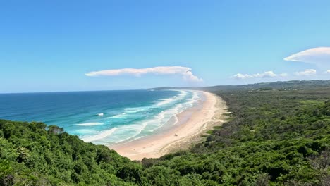 aerial view of a beach and forest coastline