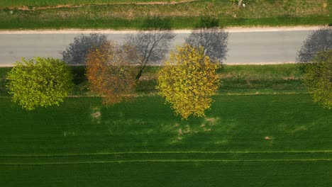 Toma-Aérea-De-Arriba-Hacia-Abajo-De-Una-Carretera-Bordeada-Por-Un-Campo-Y-árboles-Que-Proyectan-Sombras-En-La-Carretera