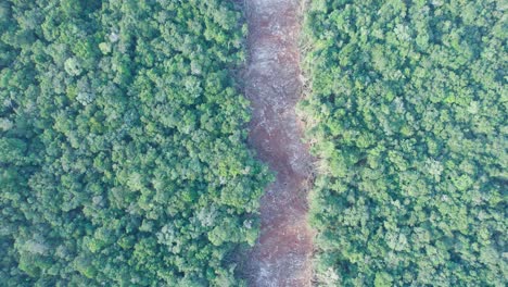 Vista-Aerea-De-Sur-A-Norte,-Sobre-La-Deforestacion-En-La-Linea-Del-Proyecto-Del-Tren-&quot;tren-Maya&quot;,-En-El-Estado-De-Quintana-Roo,-Mexico,-A-Diez-Kilometros-De-&quot;felipe-Carrillo-Puerto