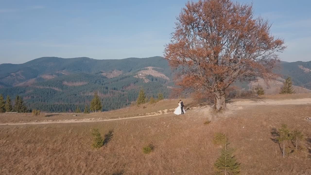los recién casados están en una ladera alta de la montaña. el novio y la novia. vista aérea