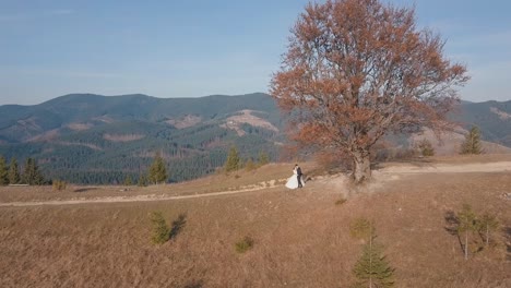 Newlyweds-stand-on-a-high-slope-of-the-mountain.-Groom-and-bride.-Aerial-view