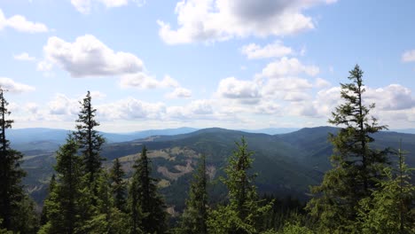 motion timelapse of fluffy clouds moving in the sky over lush green coniferous trees and mountains