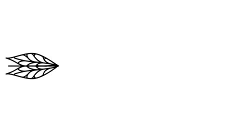 ilustración animada. letras continuas de una línea amor en forma de flecha. estilo minimalista dibujado a mano. video 4k