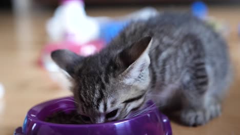 retching a little while swallowing dry food after weaning