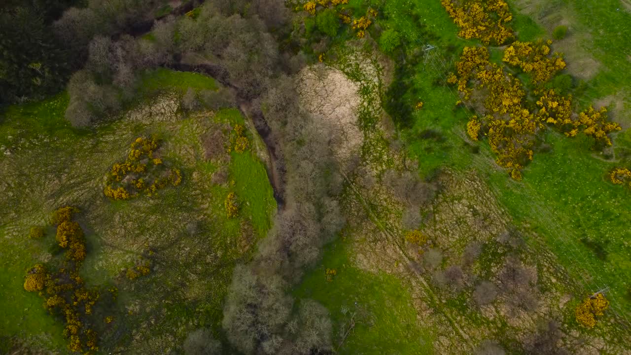 Top down high altitude aerial view of Scotland green, yellow and brown colored landscape or fields during a cloudy day. Leafless trees and green bushes are also visible on the mossy and grassy terrain