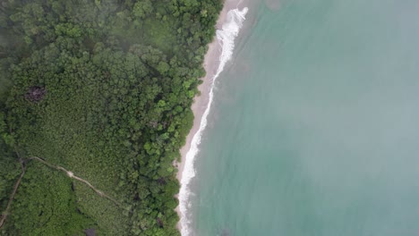 tropical beach rainforest coastline of costa rica below clouds