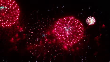 coloridos fuegos artificiales explotando en el cielo nocturno. celebraciones y eventos en colores brillantes.