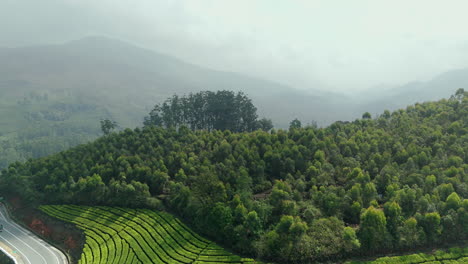 Panorama-Der-Wunderschönen-Nebligen-Teeplantage,-Erstklassige-Teeplantagen-In-Den-Hügeln-Von-Munnar,-Kerala,-Indien