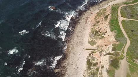 Toma-De-Drones-De-Gaviotas-Volando-Sobre-Los-Acantilados-De-Pint-Vicente-En-Rancho-Palos-Verdes,-Los-Ángeles,-California,-En-Un-Día-Cálido-Y-Soleado-Con-Vistas-Cristalinas-Del-Océano-Pacífico.