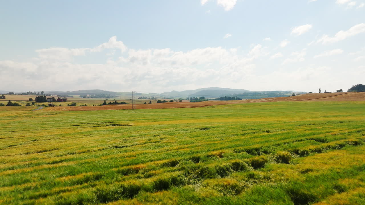 Healthy green cereal grain field in rural countryside, aerial dolly shot