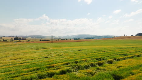 Healthy-green-cereal-grain-field-in-rural-countryside,-aerial-dolly-shot