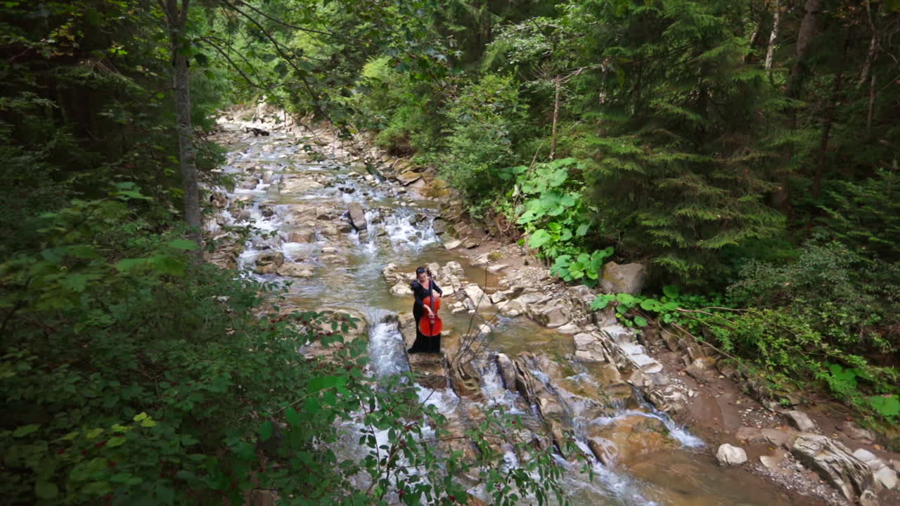 Woman in dress playing cello. Passionate real artist, young woman playing her classical instrument
