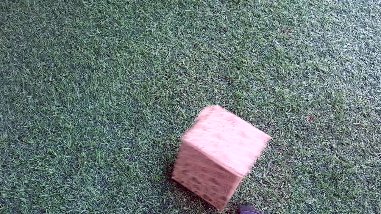 Home Essentials Unboxing, Honest Reviews and Creative Ideas to Explore, Use, Test, Compare, and Promote Everyday Household Products from Home