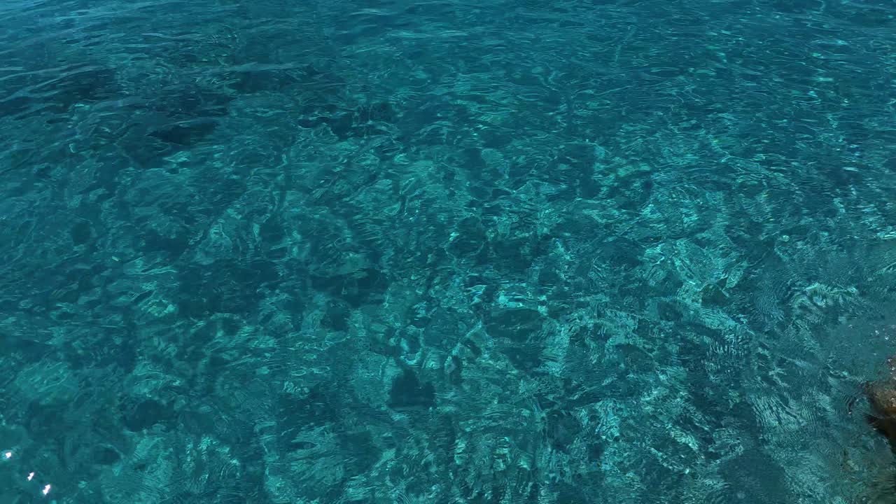 belleza esmeralda en movimiento: vibrante bucle de agua de mar - un fondo fascinante y hermoso para visuales sin fisuras