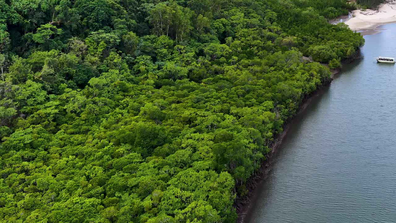 Drone glides above lush mangrove riverbank, revealing anchored boat and dense rainforest in daylight