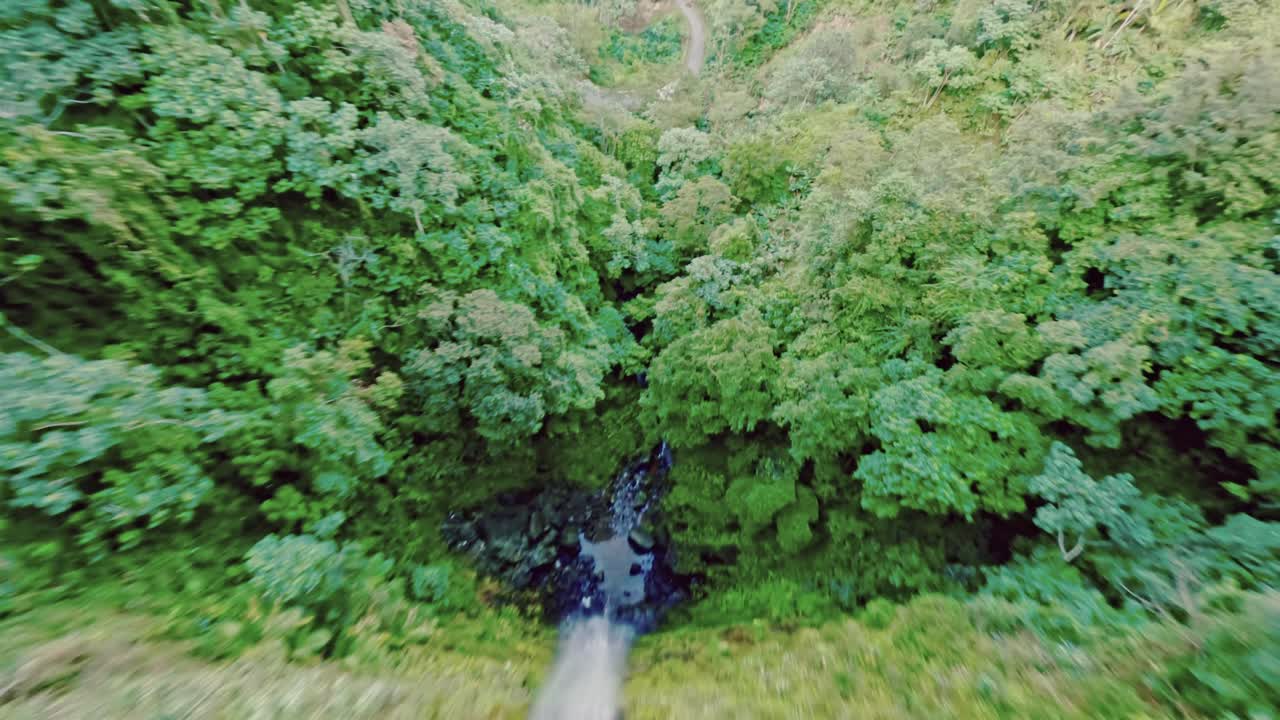 vuelo de drones fpv en la selva profunda de bonao con cascada de rodeo durante un día soleado