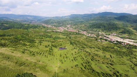 flying over the rolling hills in romania toward some cows