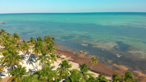 antena de playas, palmeras y el océano en una de las islas clave