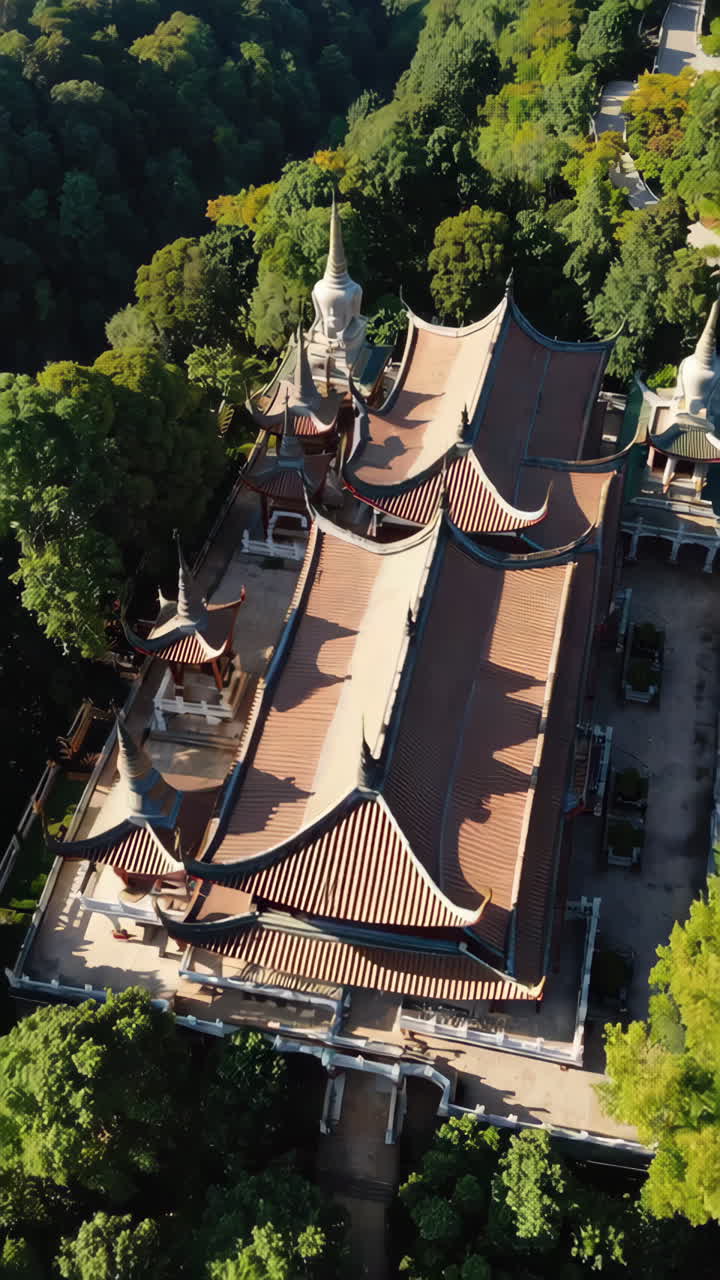 Aerial View of a Temple Complex Surrounded by Forest