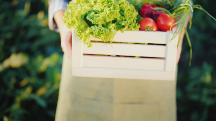 The Farmer Is Holding A Wooden Box With Fresh Vegetables Organic Agriculture Concept Close-Up 4k Vid
