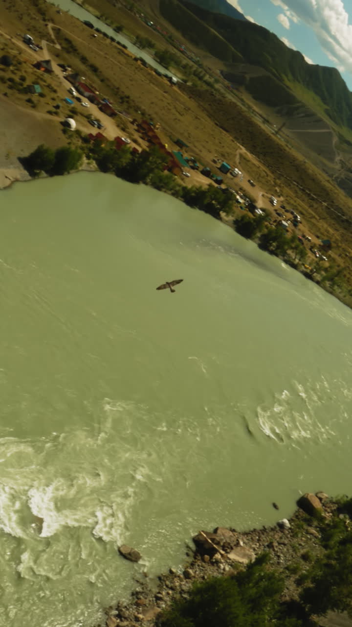 el pájaro vuela sobre el río de montaña en el valle fpv. el vuelo majestuoso del águila sobre el flujo de agua que corre entre las colinas descuidadas en un día soleado. la magnífica naturaleza virgen
