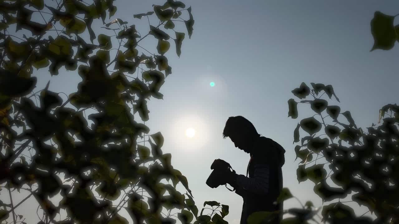공원에서 dslr 전문 카메라로 사진을 찍는 사진 작가, 실루엣
