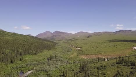 aerial move across clear glacier fed creek in the white mountains, alaskan summer, lush green black spruce forest, 60p