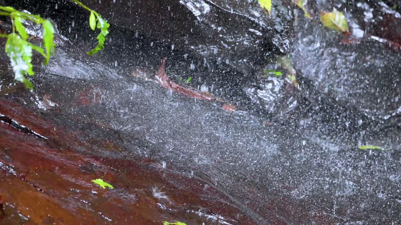 Close-up of water splashing onto a dark, wet rock with green foliage above. Natural daylight, high-speed capture, and shallow depth of field highlight dynamic motion