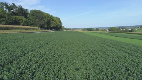 vista aérea cerca de tierras agrícolas verdes junto a una vía férrea en la campiña amish en un día soleado de verano