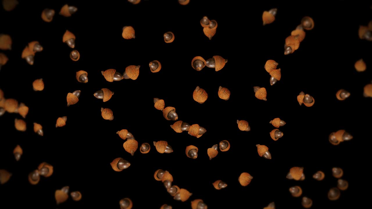 검은색 바탕에 많은 가을 아크론을 날아. 가을의 상징, 오크 견과류, 가을의 선물. 아크론 씨의 3d 애니메이션 회전. 루프 애니메이션.
