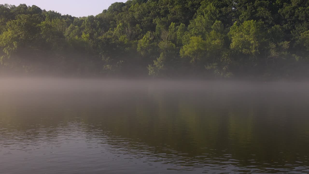 로스웰 조지아의 채터후치 강에 이른 아침 안개