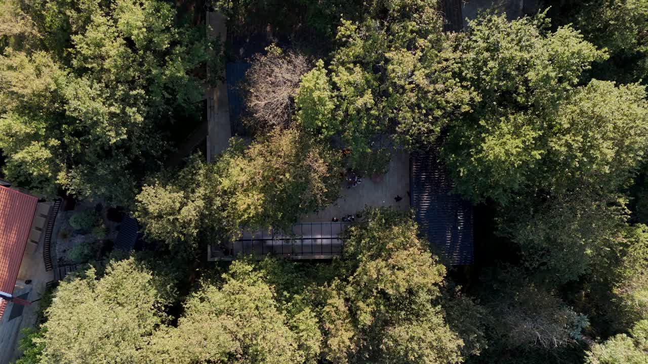 Aerial - wooden building surrounded by dense green forest in daylight
