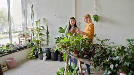 mujer consultora de plantas en una tienda de jardinería