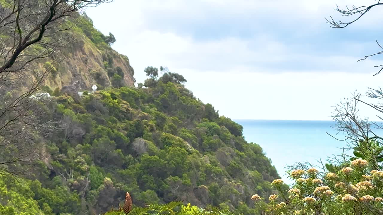 Lush greenery and coastal cliffs under soft daylight along Australia's Great Ocean Road