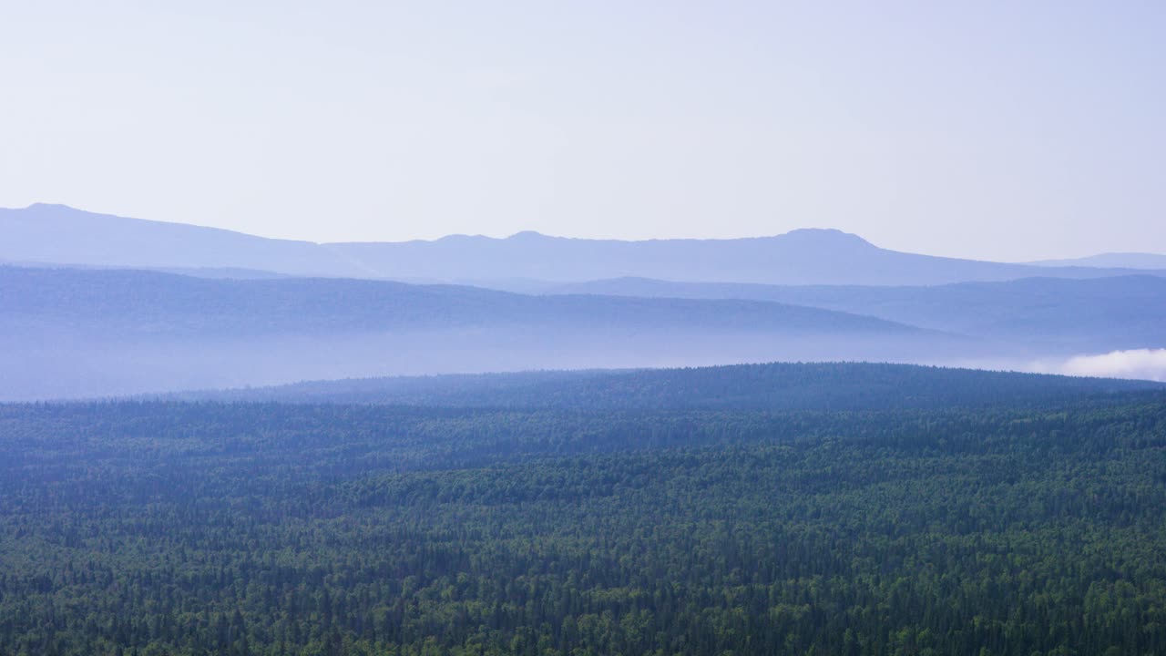 숲 위에 있는 안개가 가득한 산맥