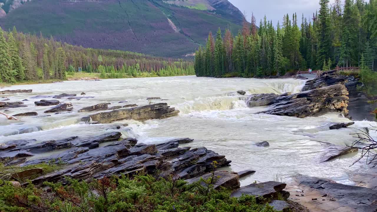 Scena statica delle cascate del fiume canadese nella foresta