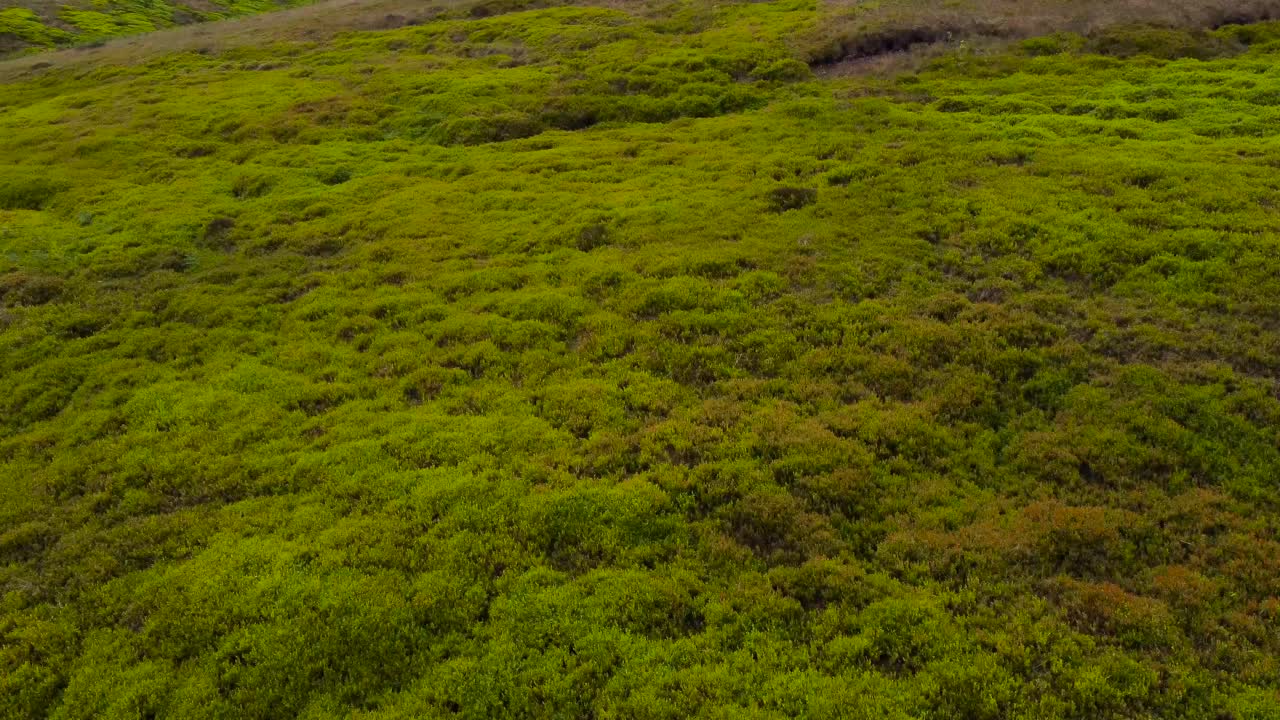 vista aérea bajo volando a través de páramos de marsden rural pico verde valle del distrito