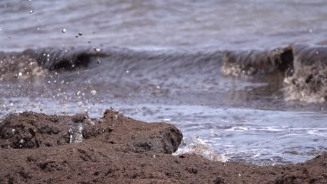 Black-wave-with-dead-algae-contamination-slow-motion