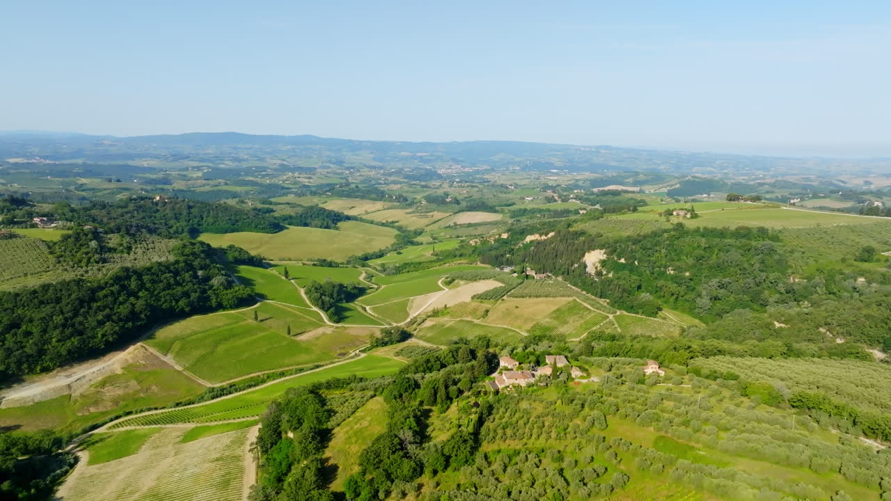 Aerial view descending in front of a summer green vineyards of Tuscany, Italy