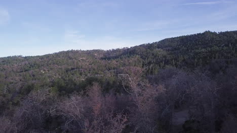drone view of a vast forest of partly dead trees covering rolling hills in a wild national park