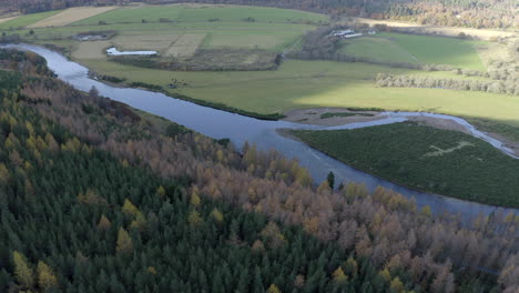 Aerial-view-flying-over-fir-trees-towards-the-River-Dee-on-a-sunny-day-in-the-Cairngorms-National-Park,-Aberdeenshire