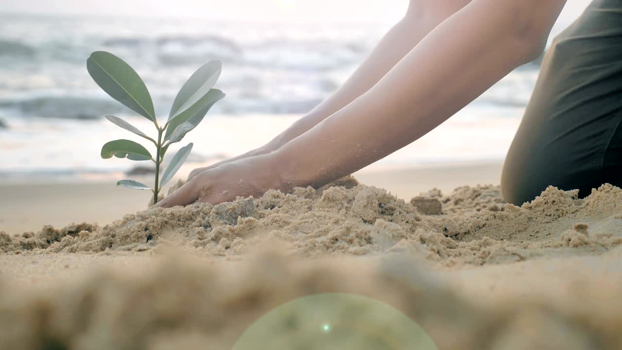 작은 초록색 식물 을 는 손 의 아름다운