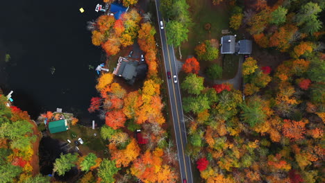 birdseye aerial view or road and lakefront with vivid forest leaf fall colors in countryside of new england usa, top down drone shot