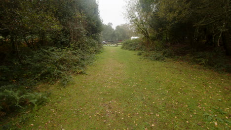 Wide-shot-of-a-new-forest-track-with-campsite-in-background