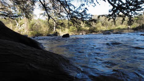 scenic view of the guadalupe river at guadalupe state park in the texas hill country