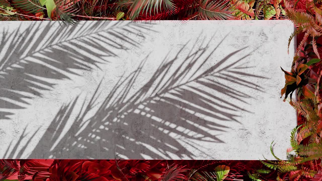 Shadow of tropical palm leaves on white concrete wall with red jungle foliage frame. Nature inspired template background. Summer vacation and exotic botanical concept. Design for banner.vertical