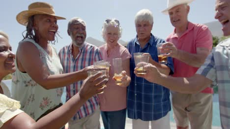 happy diverse senior friends drinking a toast at sunny garden party, unaltered, in slow motion