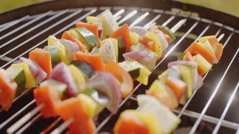 Healthy-colorful-kebabs-with-fresh-vegetables